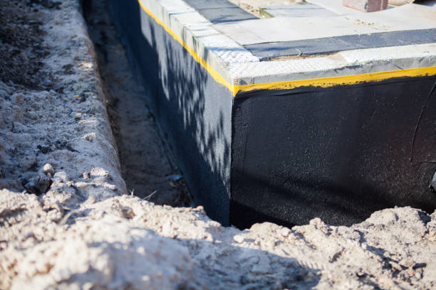 Professional Wet Basement Repair technician working in Ida, MI