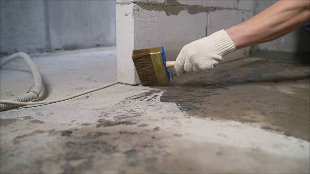 24/7 Emergency Wet Basement Repair experts in Ida, MI